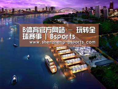 案例展示八