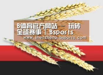B体育官方网站 - 玩转全球赛事 | Bsports